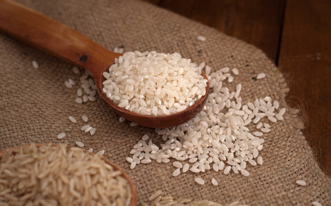 ¿El arroz es una fuente de hidratos de carbono?