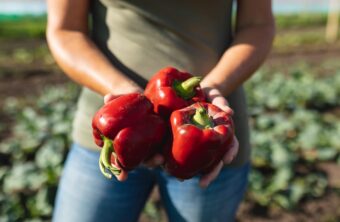 Propiedades y beneficios del pimiento rojo