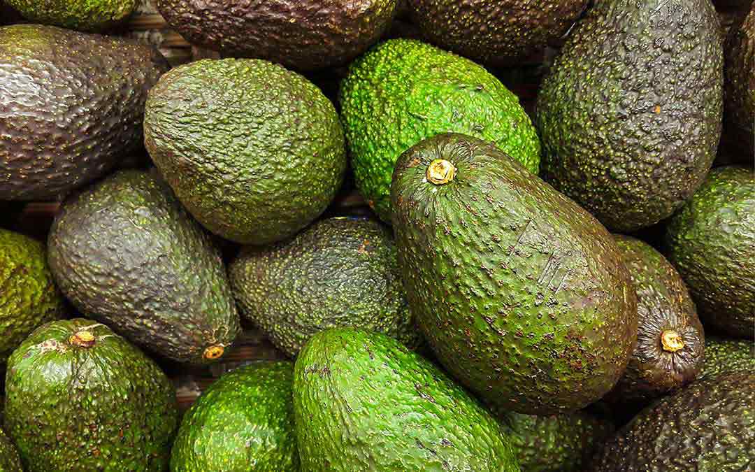 Todo sobre madurar aguacates rápidamente