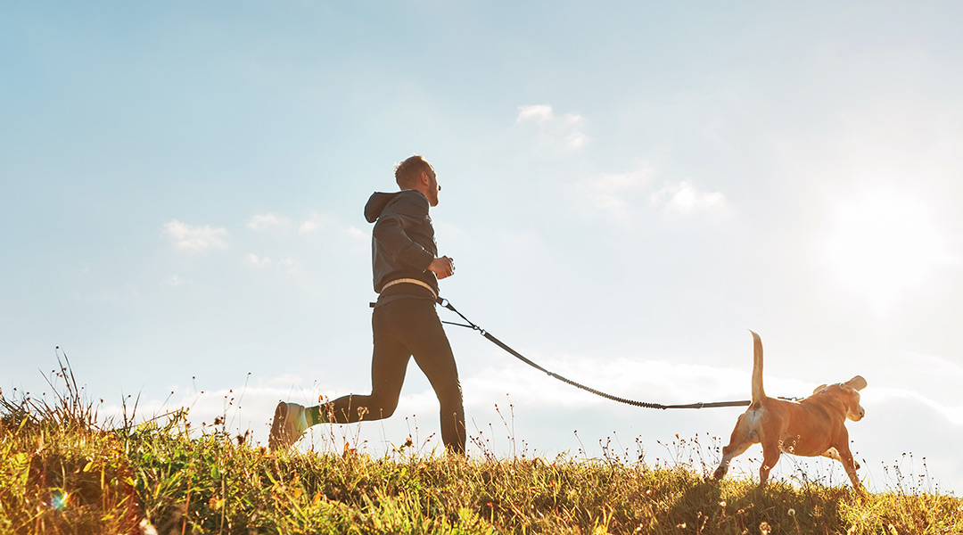 Relación Entre el Calcio y la Vitamina D