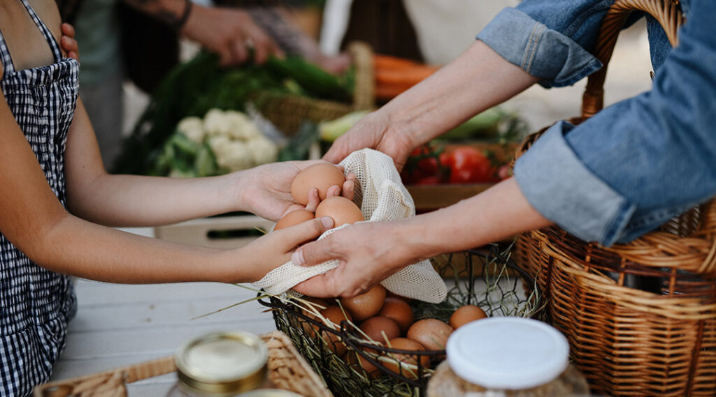 Relación entre alimentación sostenible y la economía circular